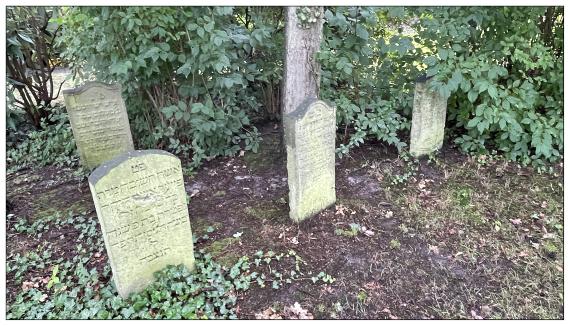 Jüdischer Friedhof Winsen (Luhe)