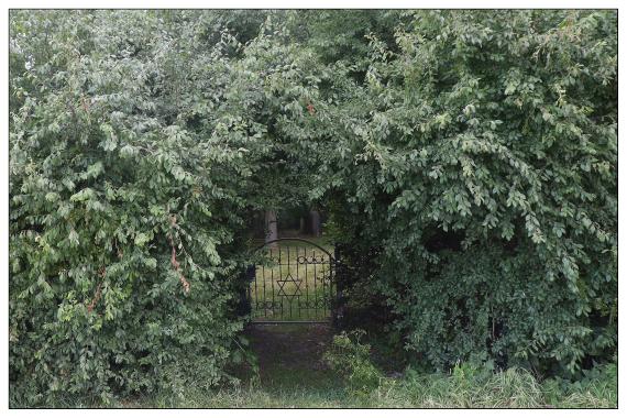 Jüdischer Friedhof Bolzum - Eingangsbereich