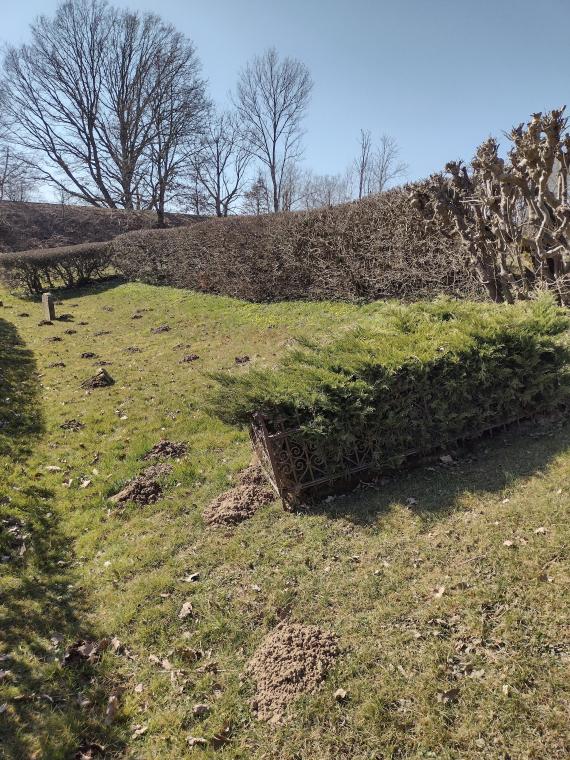 Friedhof Bega