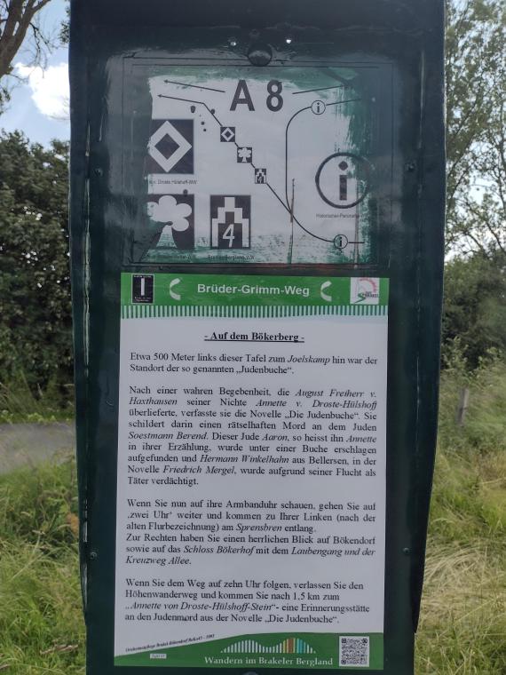 Infotafel am Standort der Judenbuche