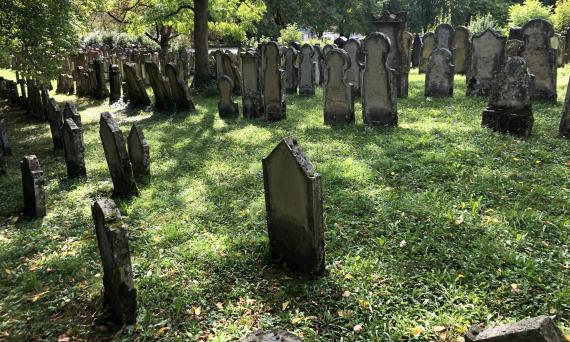 View of the Jewish cemetery in Crailsheim