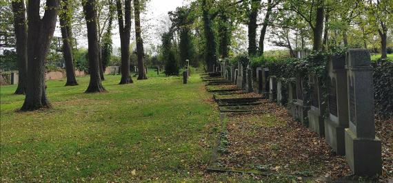 a row of cemetery graves can be seen on the right and in the left half of the picture trees can be seen on a green meadow.