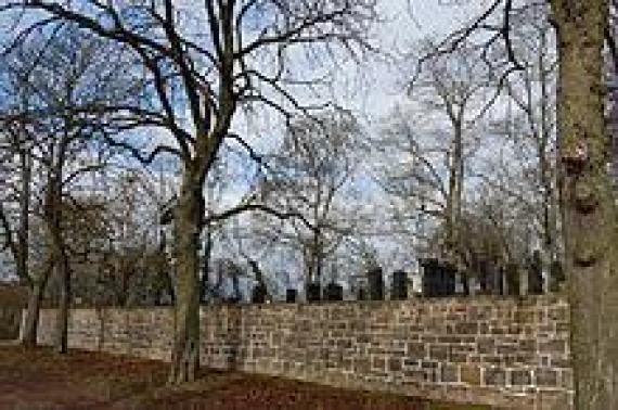 Jewish cemetery (2011)