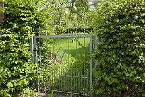 Jewish cemetery in Bassenheim