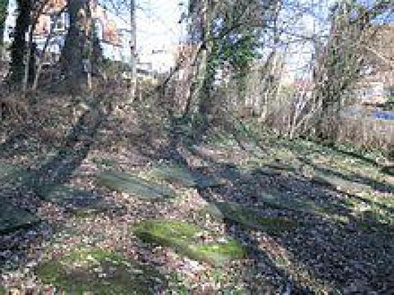 Former Jewish cemetery in Moritzberg