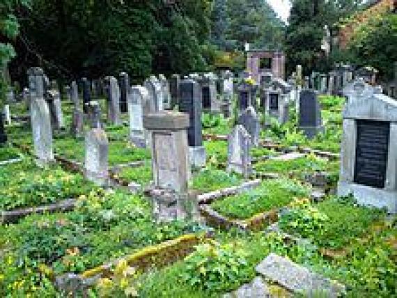 Jewish cemetery in Göttingen (2014)
