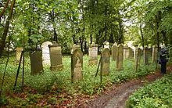 Jewish cemetery Gehrden