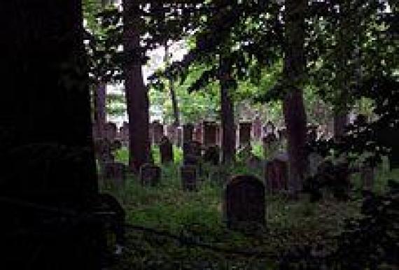 Jüdischer Friedhof in Baisingen - Blick aus dem Wald Jewish cemetery in Baisingen - view from the forest