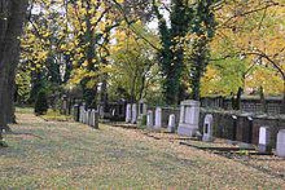 Partial view of the cemetery