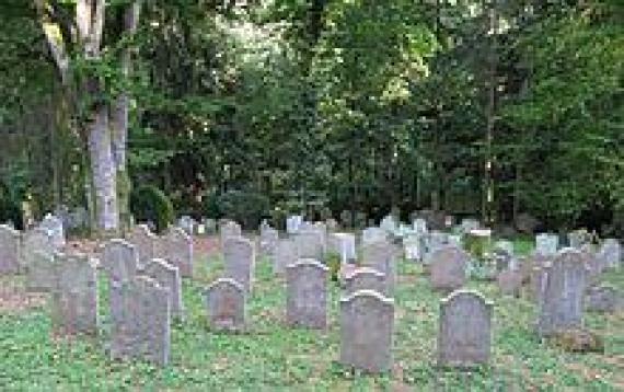 Jewish cemetery in Mühringen