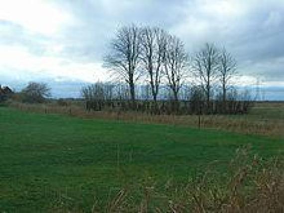 Alter Jüdischer Friedhof bei Ovelgönne