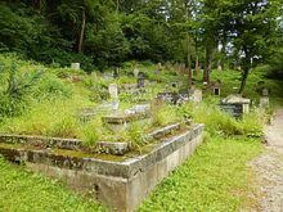 View of the Jewish cemetery