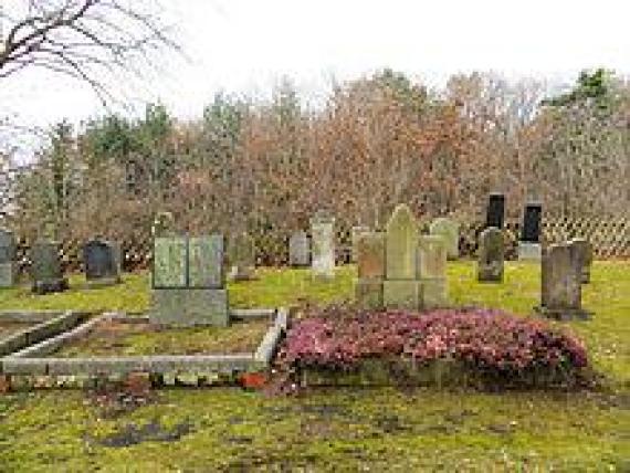 The Jewish cemetery