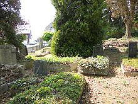 Jewish cemetery, partial view