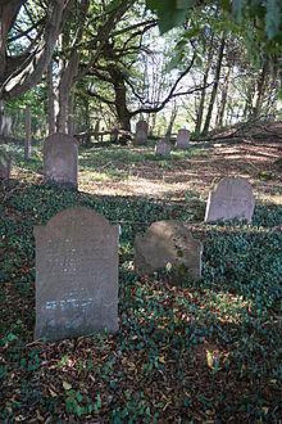 View of the cemetery area from the southeast 2015