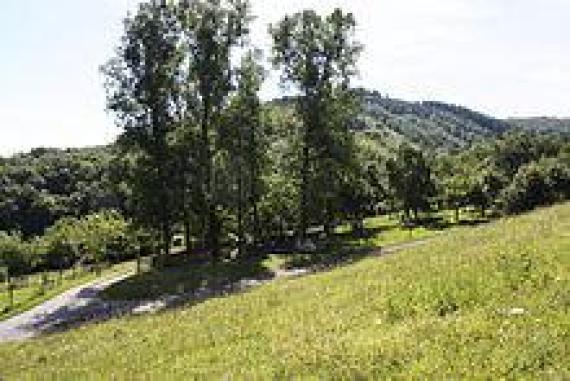 The old Jewish cemetery Lösnich from 1883 in the district "Im Arbert".