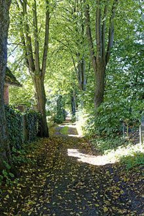 Access road to the cemetery, Am Judenfriedhof