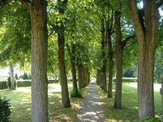 Small avenues cross the cemetery