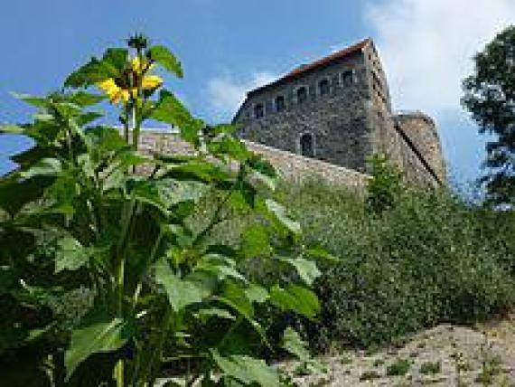 Hausmann Tower