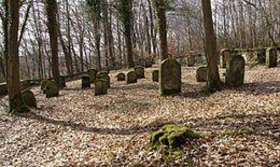 Jewish cemetery in Heiligenstadt, 2011
