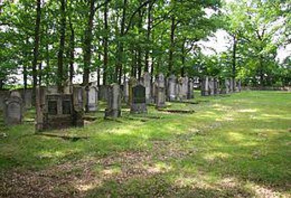 Jewish cemetery in Uehlfeld, 2011