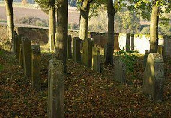 Jewish cemetery in Reichmannsdorf, 2011