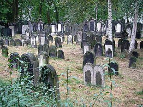 Jüdischer Friedhof An der Strangriede Jewish Cemetery An der Strangriede