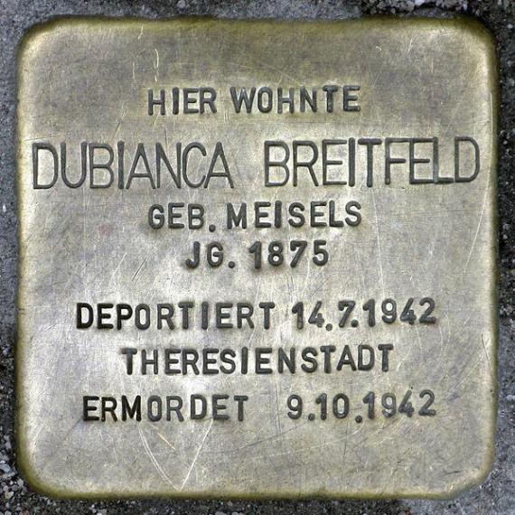 https://upload.wikimedia.org/wikipedia/commons/thumb/7/75/Stolperstein.Pankow.Thulestra%C3%9Fe_13.Dubianca_Breitfeld.0301.jpg/600px-Stolperstein.Pankow.Thulestra%C3%9Fe_13.Dubianca_Breitfeld.0301.jpg