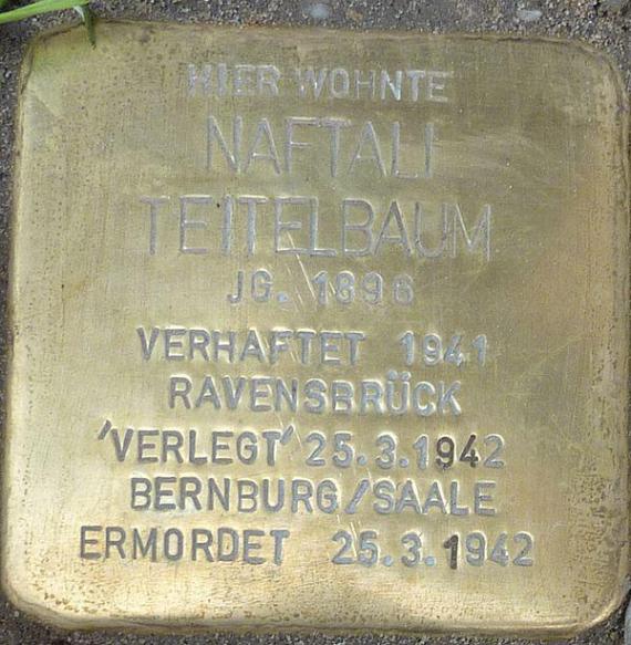 https://upload.wikimedia.org/wikipedia/commons/thumb/4/44/Stolperstein_Naftali_Teitelbaum.jpg/600px-Stolperstein_Naftali_Teitelbaum.jpg