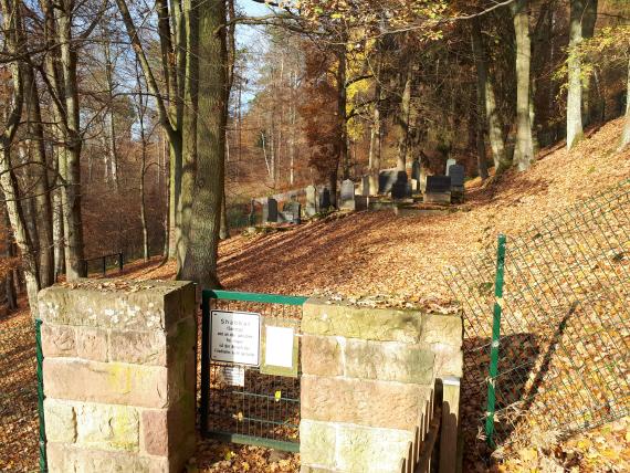 Eingangstor zum jüdischen Friedhof, dahinter hügeliger Waldboden mit Bäumen