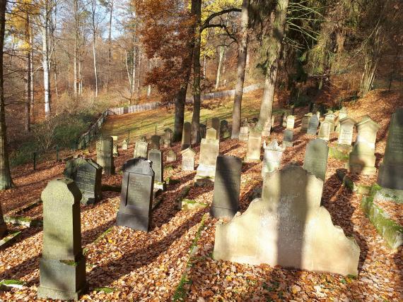 Friedhof in einem Waldstück mit mehreren Grabsteinen