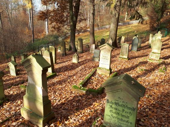 Seitliche Ansicht auf Gräberreihen in einem Waldstück