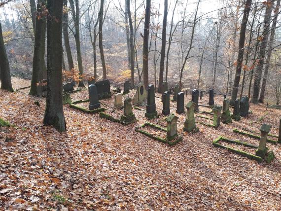 Waldstück mit Laub bedecktem Boden mit Grabsteinen