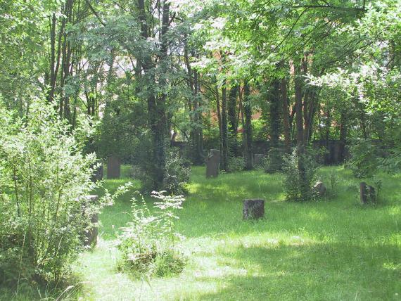 Cemetery Kriegshaber: Gravestones