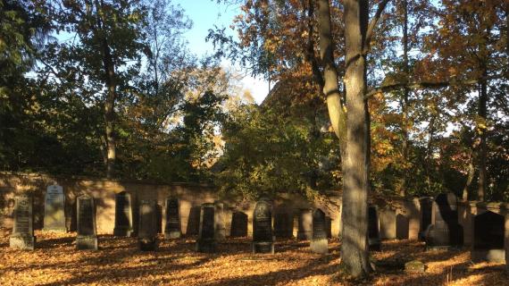 View of the gravestones in the Jewish cemetery Ellwangen