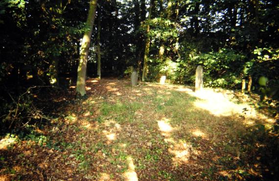 Small clearing in the woods where some gravestones are isolated