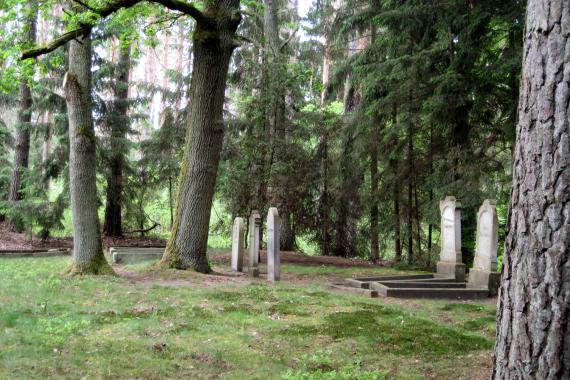 Gravestones standing in small groups between tall coniferous trees