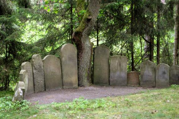 Um den dicken Stamm eines Nadelbaumes herum sind dreizehn Grabsteine der Größe nach angeordnet in einem Halbkreis