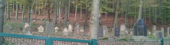 In the foreground a fence door, in the background gravestones