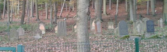 In the foreground a fence, in the background gravestones