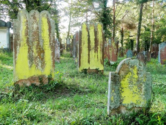 Three red sandstone gravestones covered with lichen from the older part.