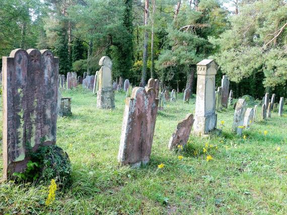 Ausschnitt aus dem unbewaldeten Teil des Friedhofes. Im Hintergrund sieht man dichten Baumbestand. Im Vordergrund eine Gräberreihe.