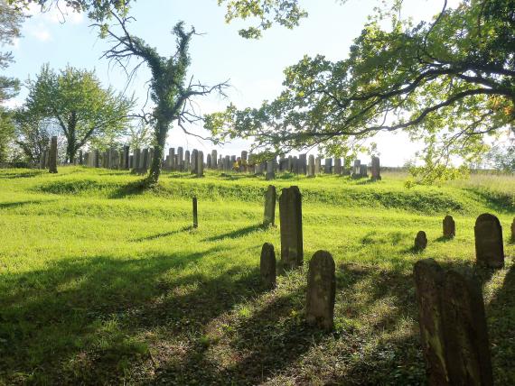 Cemetery Laudenbach, open area with few trees. Wide meadow areas.