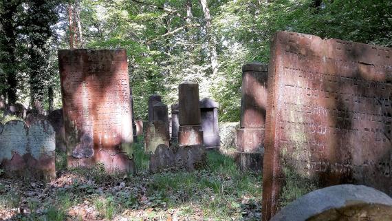 Wooded area with gravestones made of red sandstone. The inscriptions are well preserved.