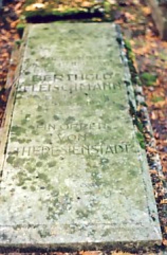 Flat lying gravestone for Bertholf Fleischmann, overgrown with moss