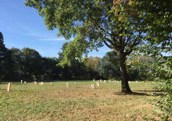 Jüdischer Friedhof Wallerstein - Blick auf den Friedhof - Blickrichtung - Westen