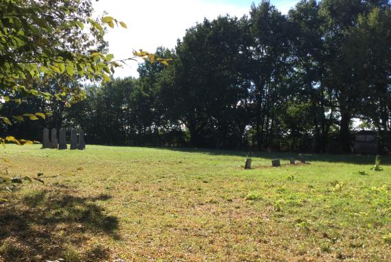 Jüdischer Friedhof Wallerstein - Blick auf den Friedhof - Blickrichtung Osten