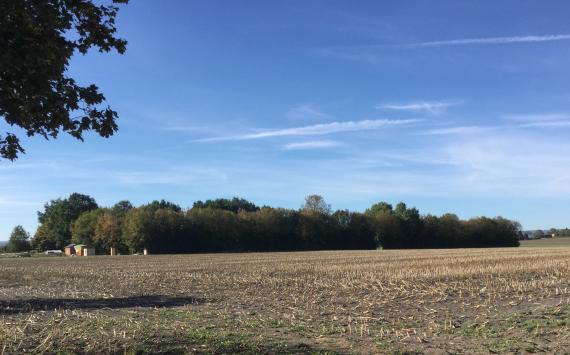 Jüdischer Friedhof Wallerstein - Blick auf das Friedhofareal von der Zufahrtsstraße 