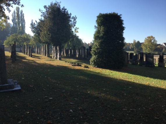 Seitliche Ansicht auf den Jüdischen Friedhof Nördlingen - Rasenfläche mit Grabsteinen und Bäumen