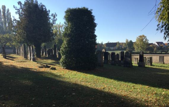 Blick auf den Jüdischen Friedhof Nördlingen - Rasenfläche mit Grabsteinen und Bäumen